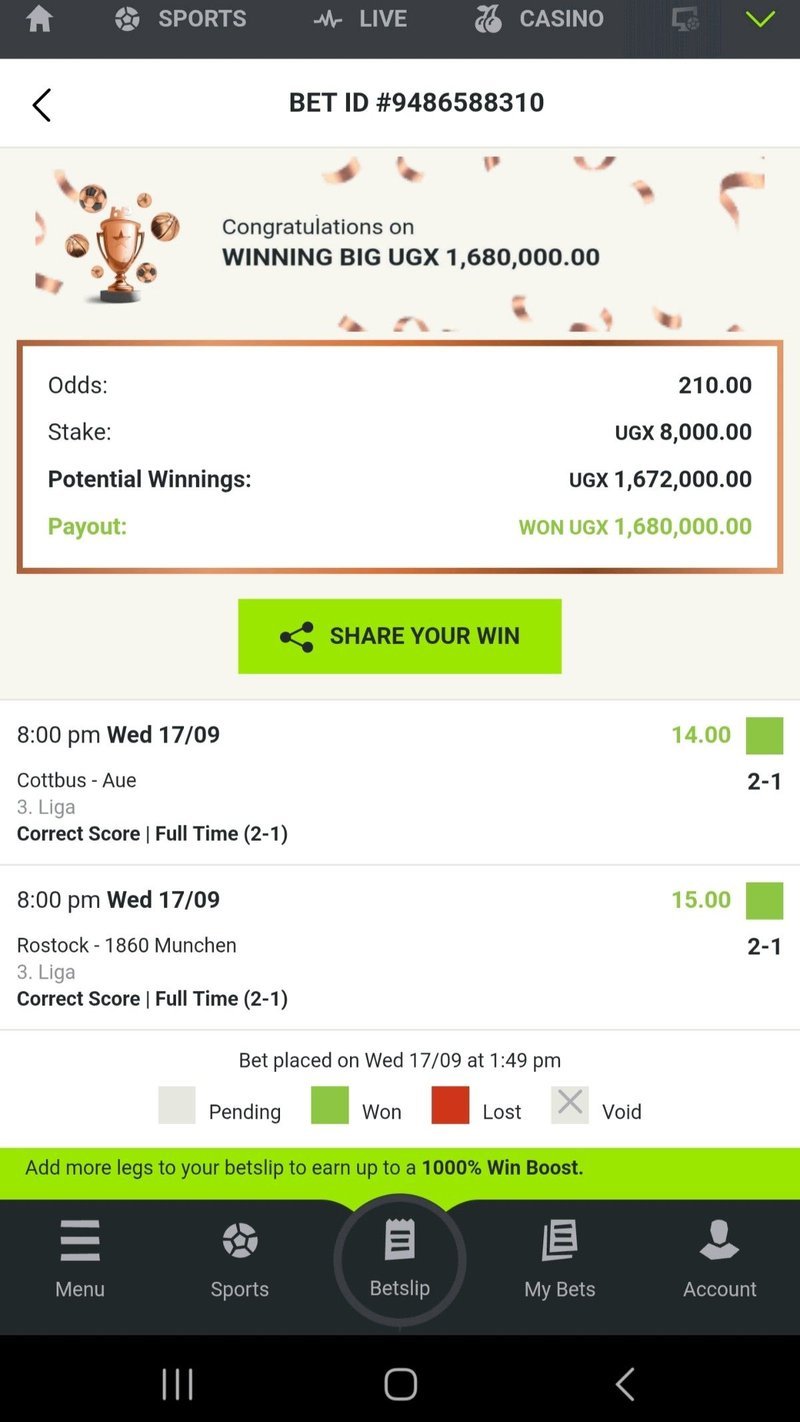 A look at fat bet casino